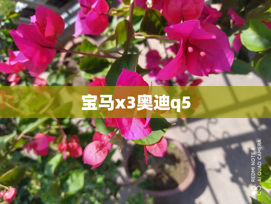 宝马x3奥迪q5
