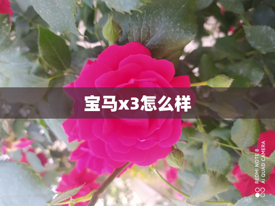 宝马x3怎么样