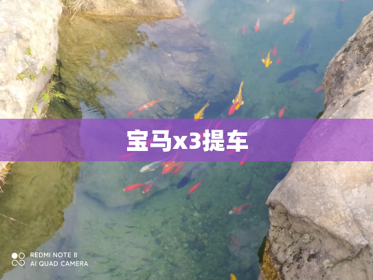 宝马x3提车