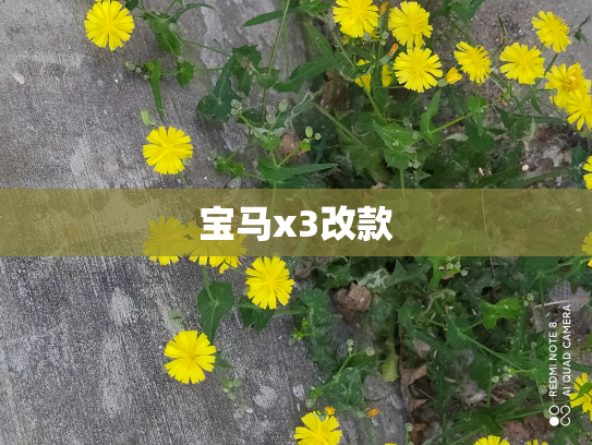 宝马x3改款