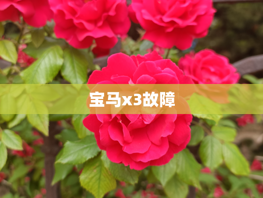 宝马x3故障
