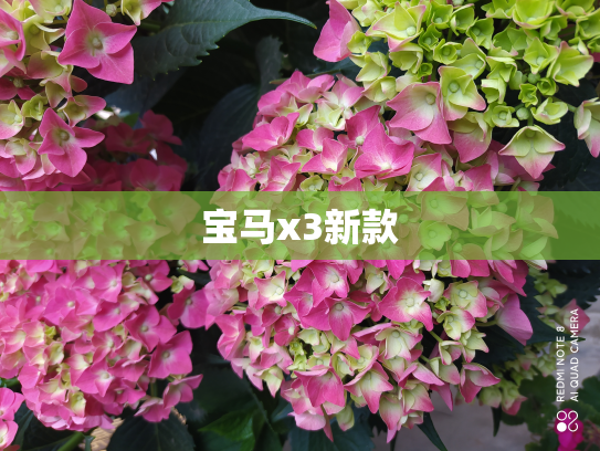 宝马x3新款