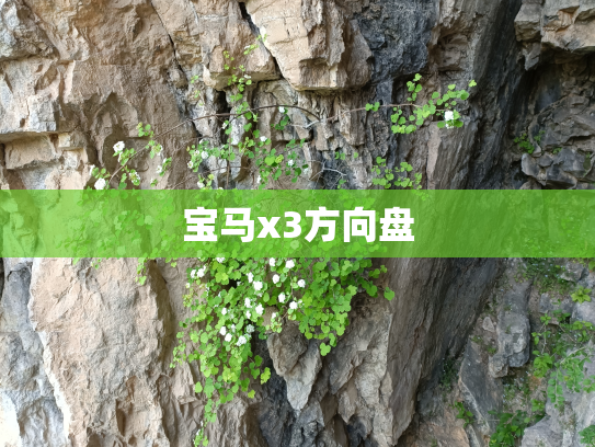 宝马x3方向盘