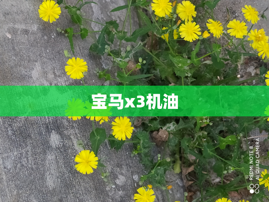 宝马x3机油