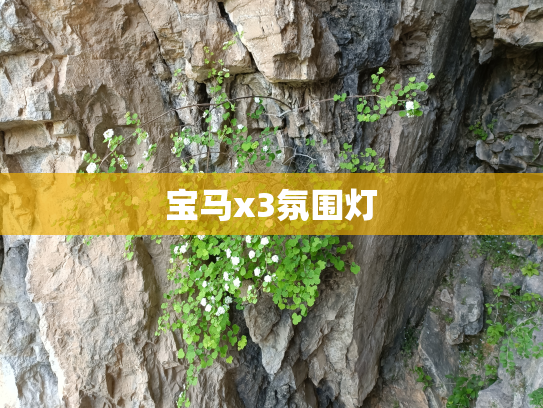 宝马x3氛围灯