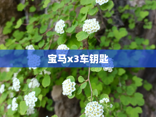 宝马x3车钥匙