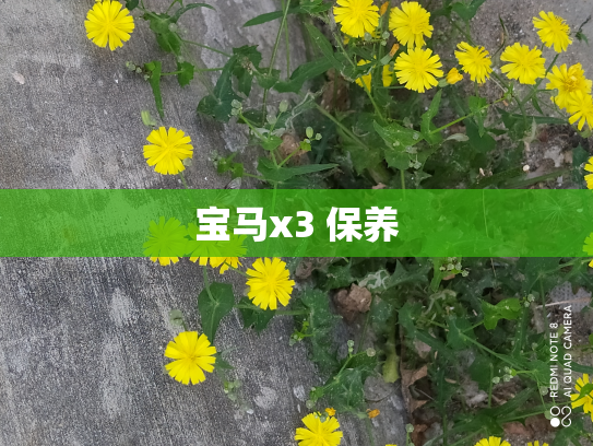 宝马x3 保养