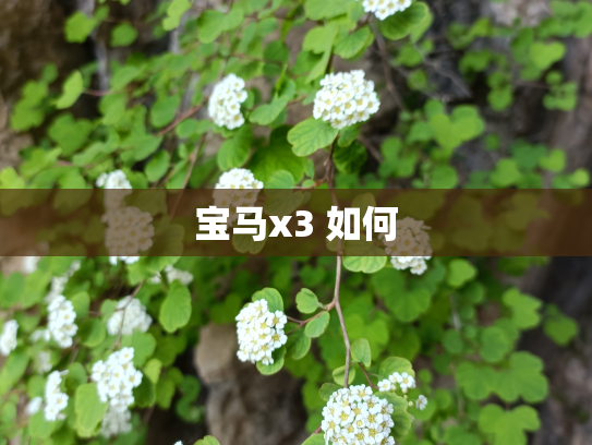 宝马x3 如何