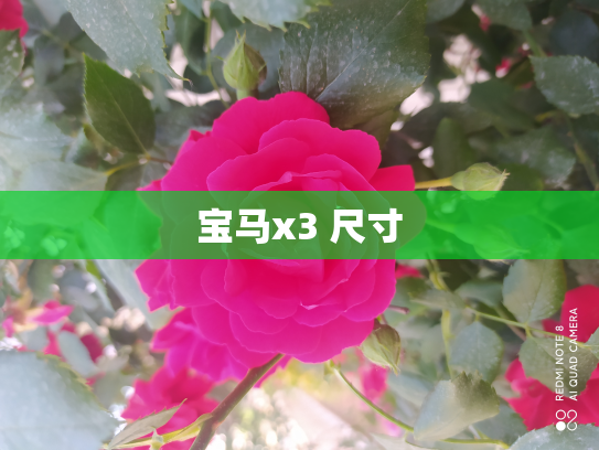 宝马x3 尺寸