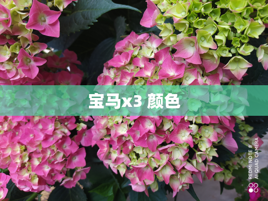 宝马x3 颜色