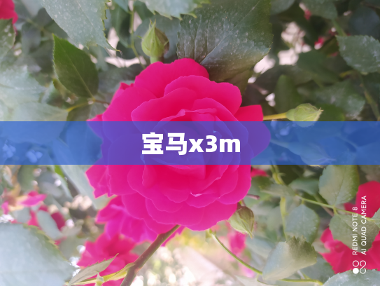 宝马x3m