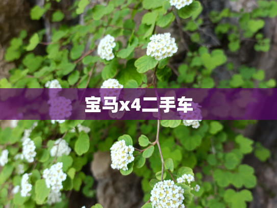 宝马x4二手车