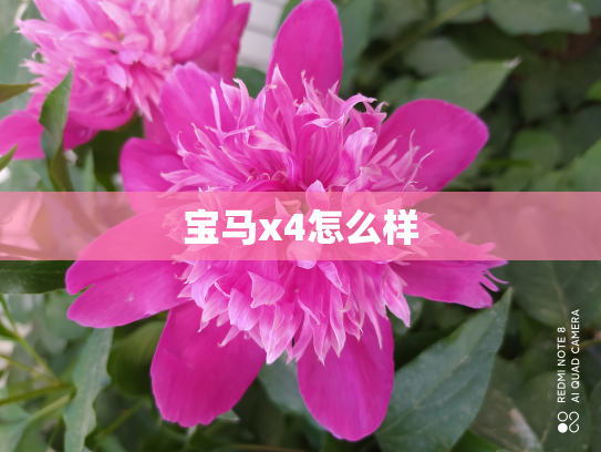 宝马x4怎么样