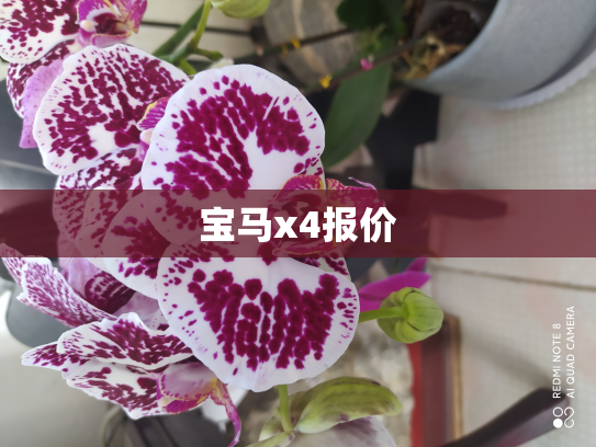 宝马x4报价