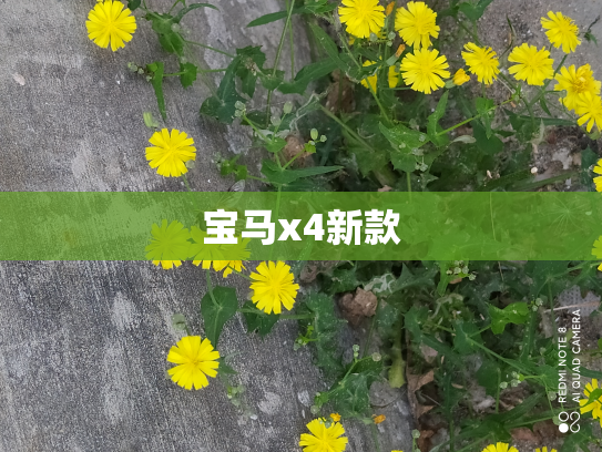 宝马x4新款