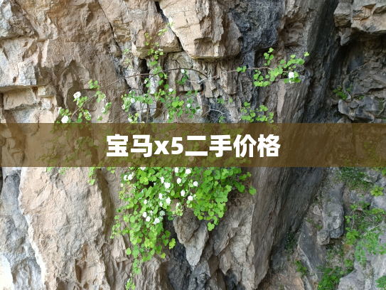 宝马x5二手价格