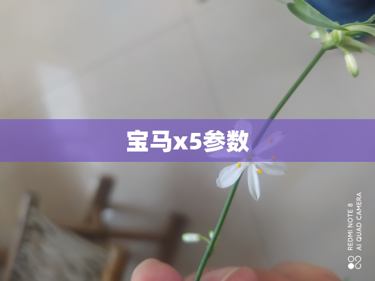 宝马x5参数