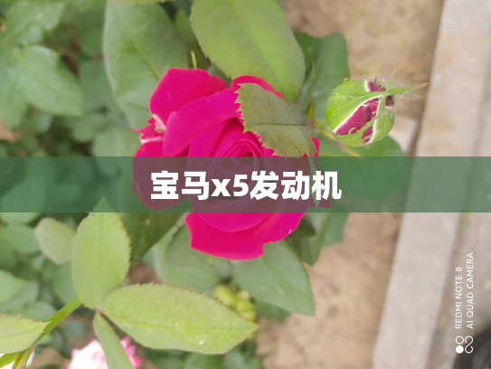 宝马x5发动机
