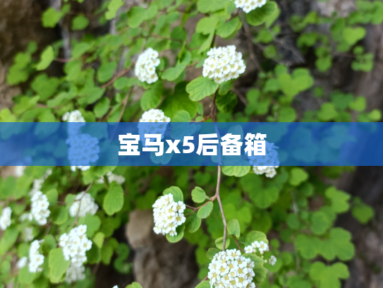 宝马x5后备箱