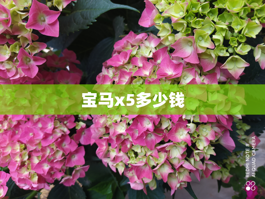 宝马x5多少钱