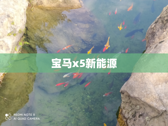宝马x5新能源