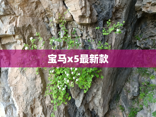 宝马x5最新款