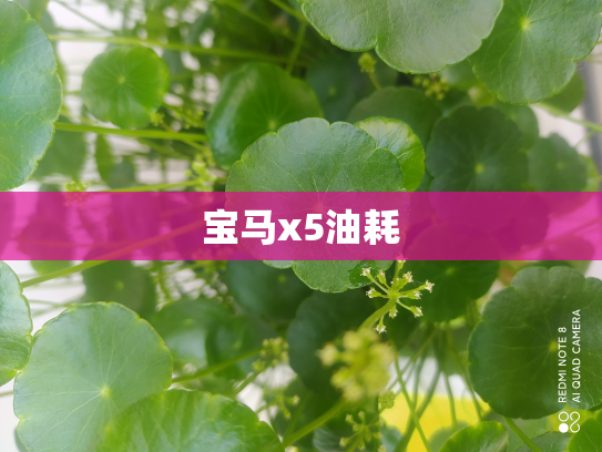 宝马x5油耗