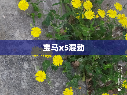 宝马x5混动