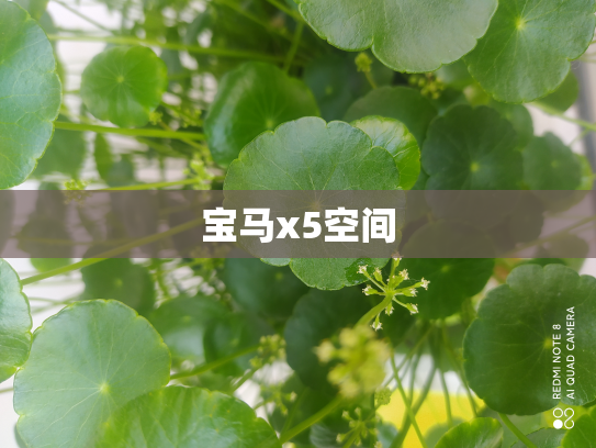 宝马x5空间