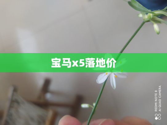 宝马x5落地价