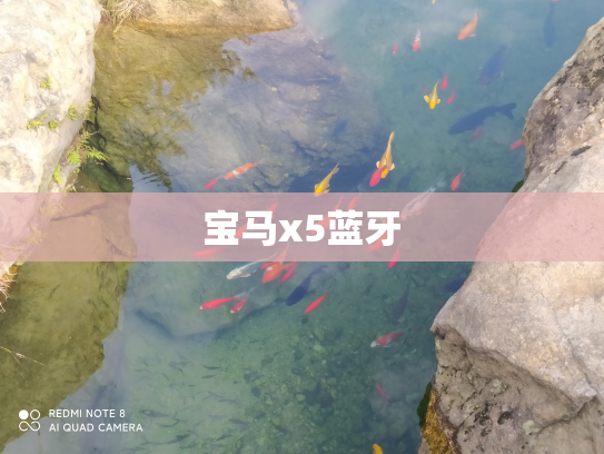 宝马x5蓝牙