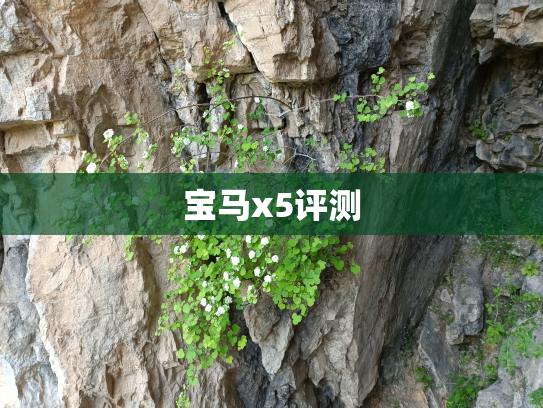 宝马x5评测