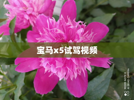 宝马x5试驾视频
