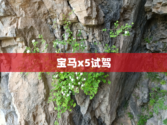 宝马x5试驾