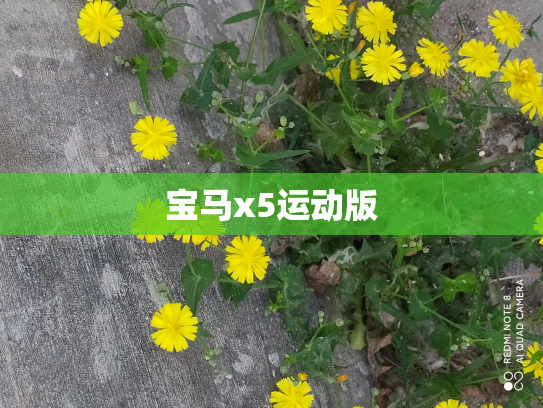 宝马x5运动版