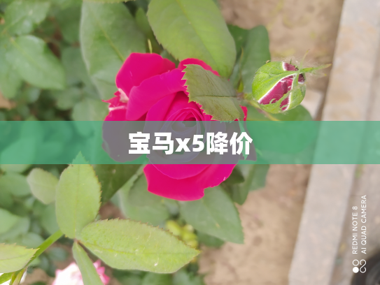 宝马x5降价