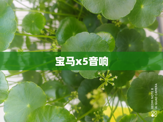 宝马x5音响
