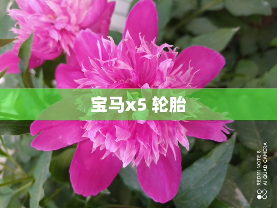 宝马x5 轮胎