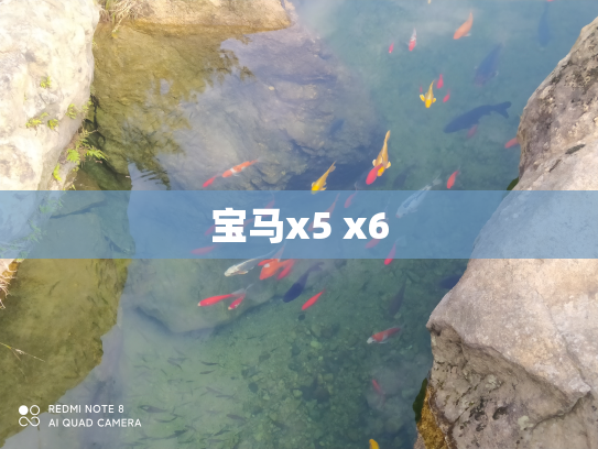 宝马x5 x6
