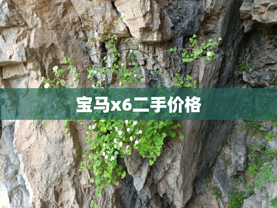 宝马x6二手价格