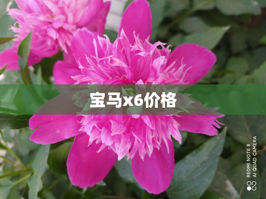 宝马x6价格