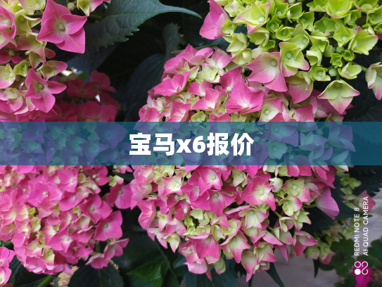 宝马x6报价
