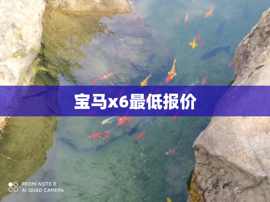 宝马x6最低报价