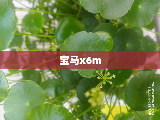 宝马x6m