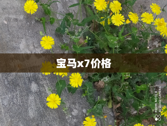 宝马x7价格