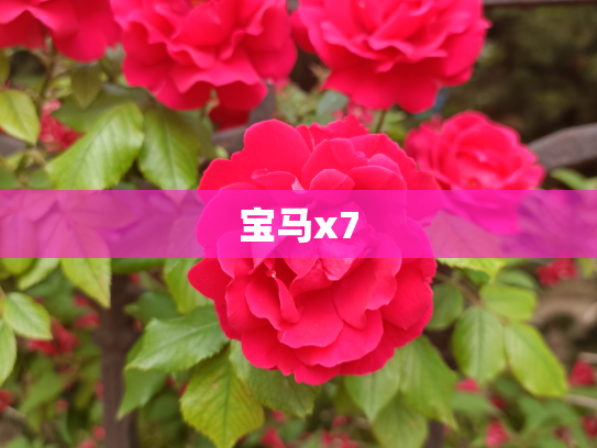 宝马x7