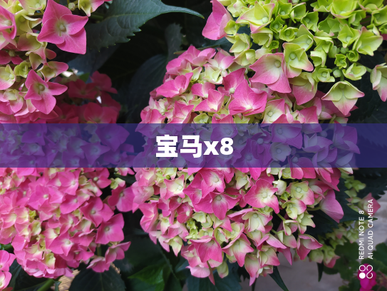 宝马x8