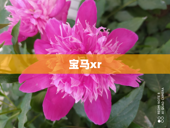 宝马xr