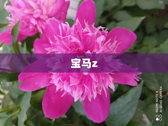 宝马z