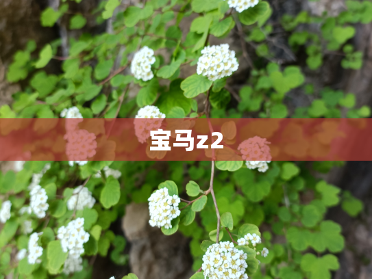 宝马z2